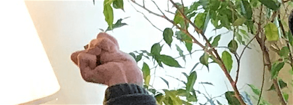 <i>Persistent.</i> <i>Determined.</i>